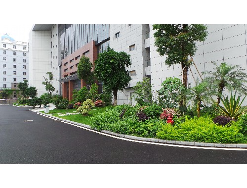 鱼梁洲城市绿化